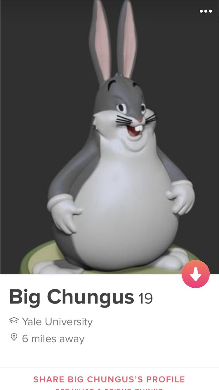 Big Chungus Profile Pic photo 4