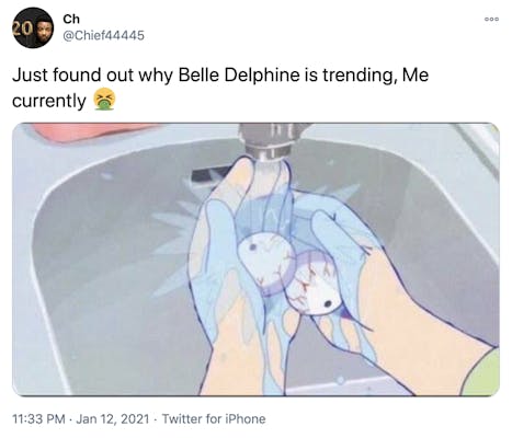 Belle Delphine Twitter Posts photo 16