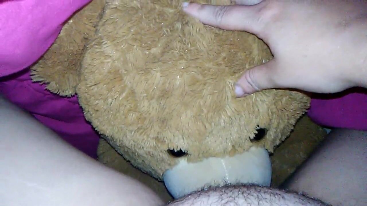 Teddy Bear Pussy photo 1