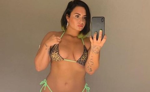 Demi Lovato Nude Leak photo 21