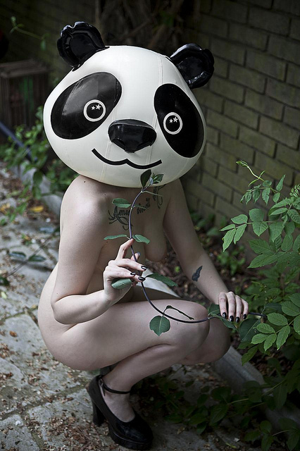 Panda Nudes Nude photo 7
