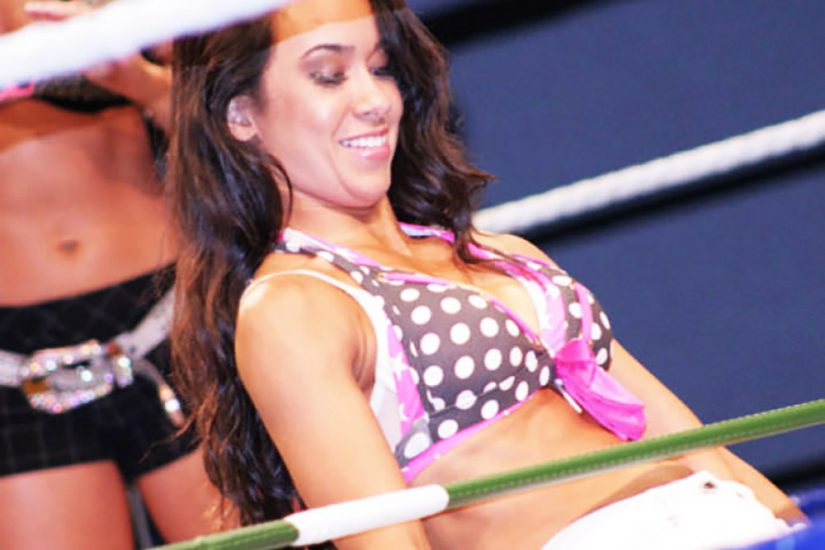 Aj Lee Leaked Pictures photo 5