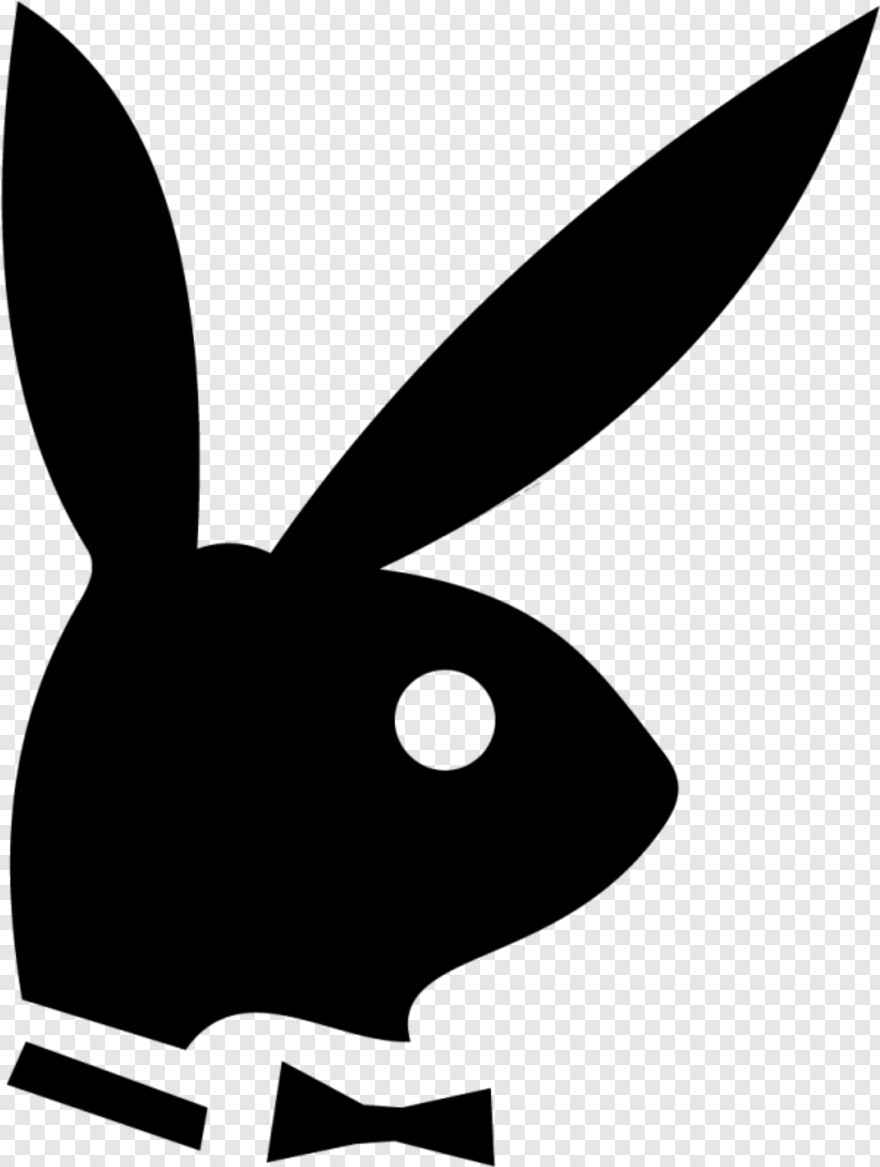Tumblr Playboy Bunny photo 15